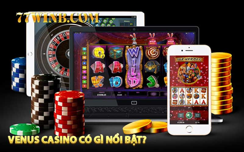 Venus Casino có gì nổi bật? 